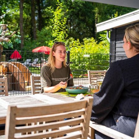 Comfortable Chalet With Combination Microwave Near The Veluwe Hoenderloo Buitenkant foto